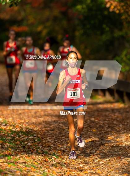 Thumbnail 1 in Natick @ Needham photogallery.