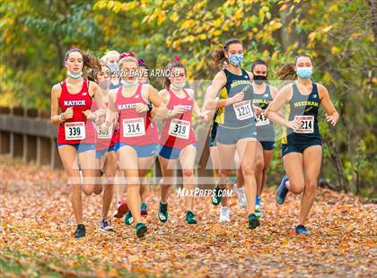 Thumbnail 1 in Natick @ Needham photogallery.