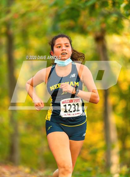 Thumbnail 1 in Natick @ Needham photogallery.