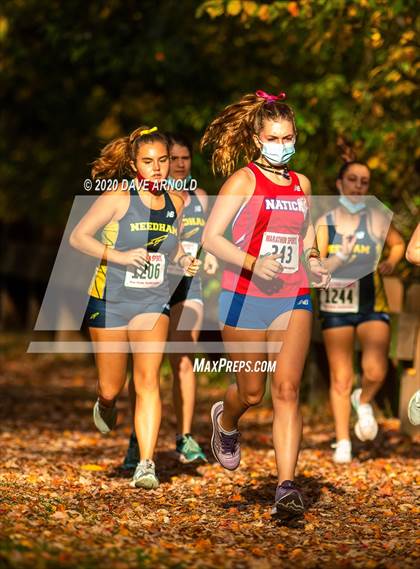 Thumbnail 3 in Natick @ Needham photogallery.