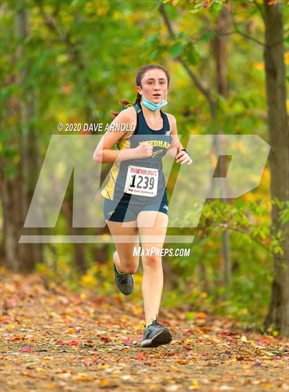 Thumbnail 1 in Natick @ Needham photogallery.