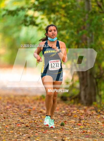 Thumbnail 2 in Natick @ Needham photogallery.