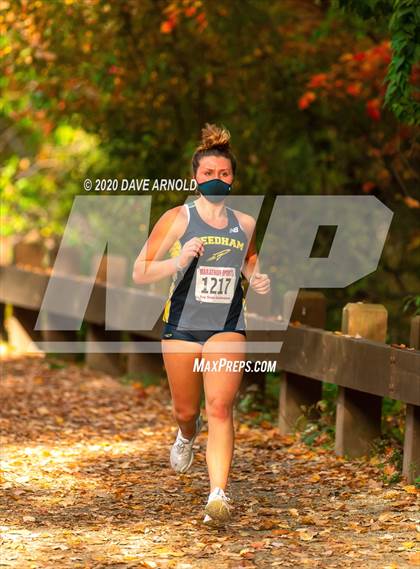Thumbnail 1 in Natick @ Needham photogallery.