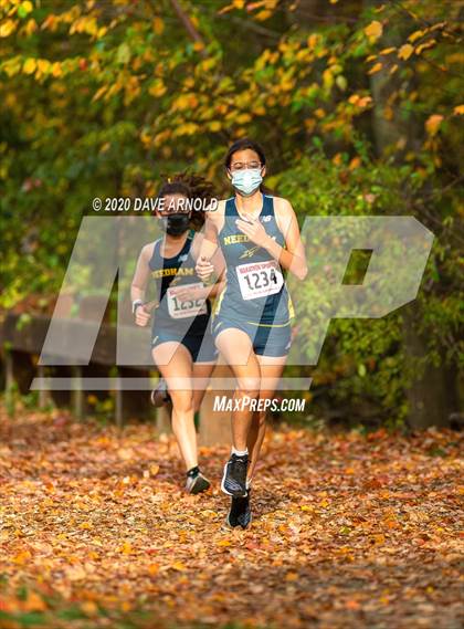 Thumbnail 3 in Natick @ Needham photogallery.