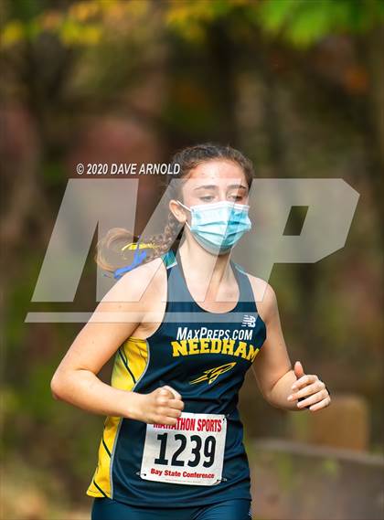 Thumbnail 3 in Natick @ Needham photogallery.