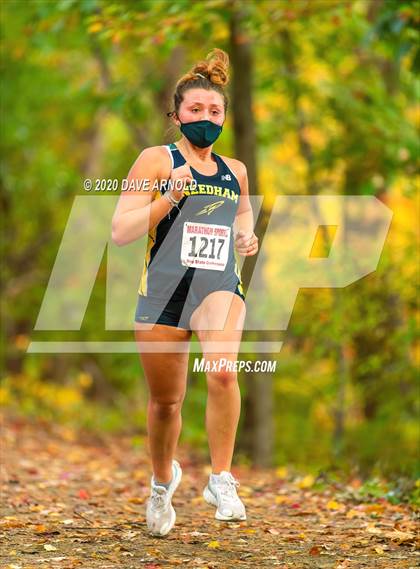 Thumbnail 3 in Natick @ Needham photogallery.