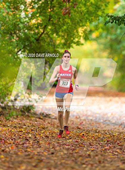 Thumbnail 1 in Natick @ Needham photogallery.