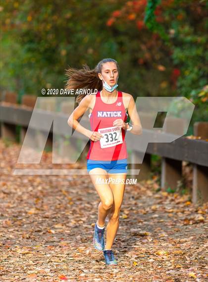 Thumbnail 1 in Natick @ Needham photogallery.