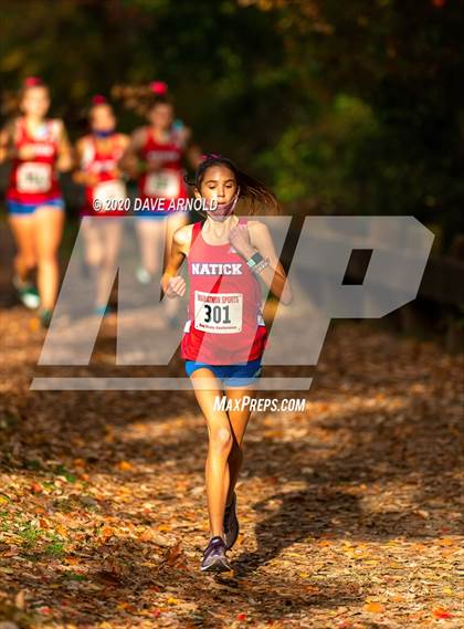 Thumbnail 2 in Natick @ Needham photogallery.