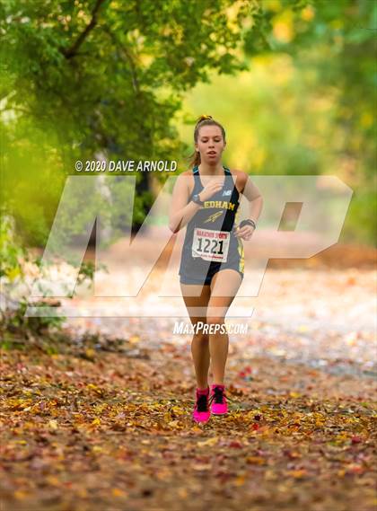 Thumbnail 1 in Natick @ Needham photogallery.
