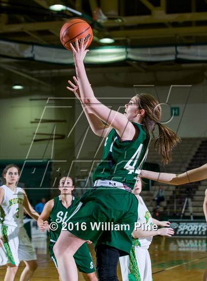 Thumbnail 1 in Shenendehowa vs. Williamsville North (NYSPHSAA Class AA Semifinal) photogallery.