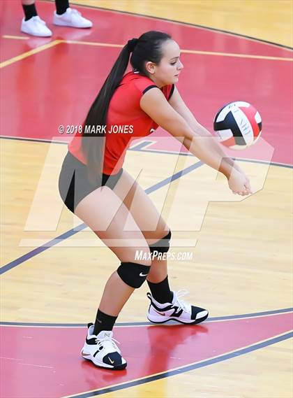 Thumbnail 3 in Basha @ Liberty  photogallery.
