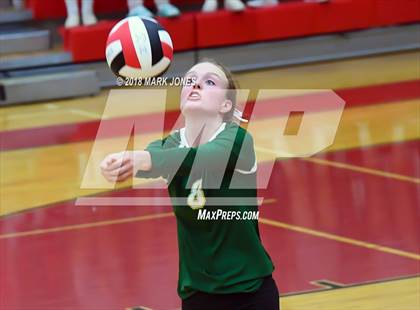 Thumbnail 2 in Basha @ Liberty  photogallery.