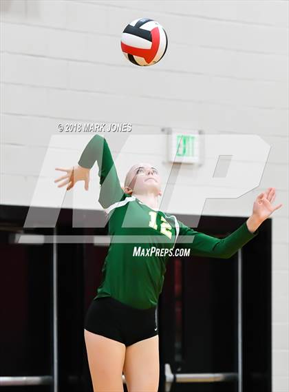 Thumbnail 2 in Basha @ Liberty  photogallery.