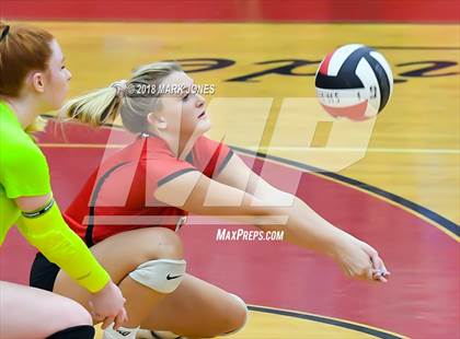 Thumbnail 1 in Basha @ Liberty  photogallery.