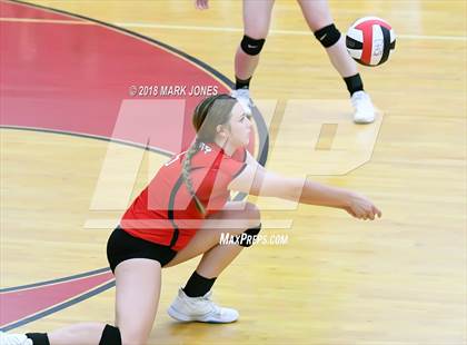 Thumbnail 2 in Basha @ Liberty  photogallery.