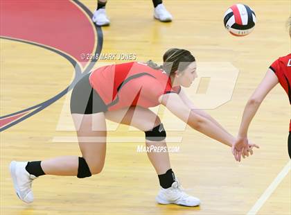 Thumbnail 2 in Basha @ Liberty  photogallery.