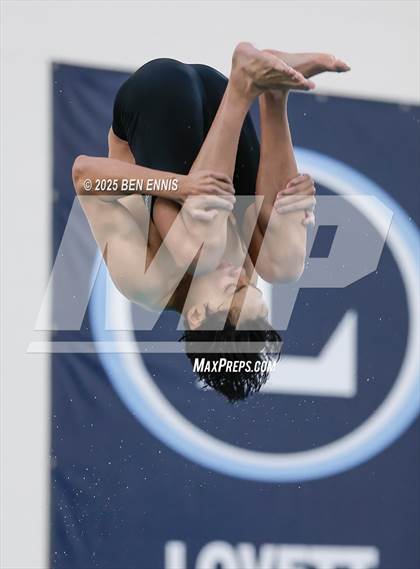 Thumbnail 2 in Lovett's Invitational (Diving) photogallery.