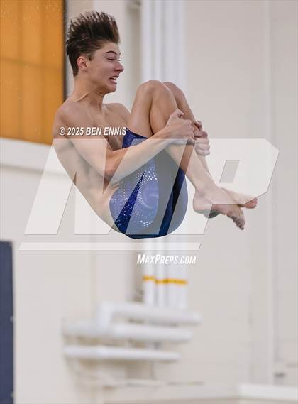 Thumbnail 1 in Lovett's Invitational (Diving) photogallery.