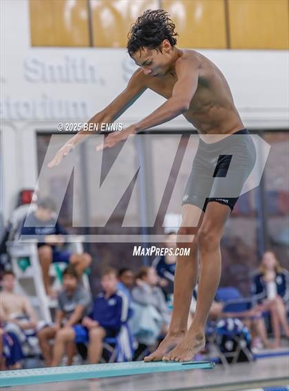 Thumbnail 1 in Lovett's Invitational (Diving) photogallery.