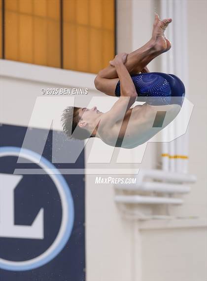Thumbnail 3 in Lovett's Invitational (Diving) photogallery.