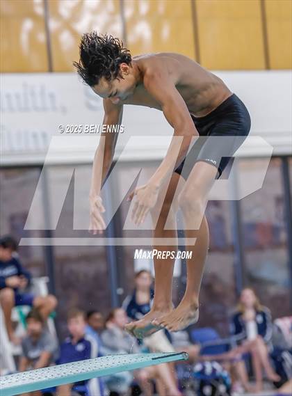 Thumbnail 2 in Lovett's Invitational (Diving) photogallery.