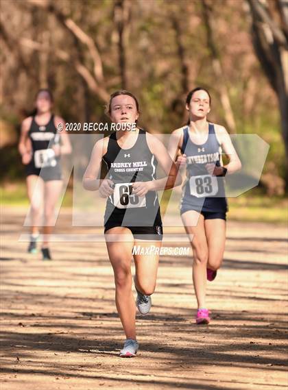 Thumbnail 3 in Ardrey Kell Home Meet photogallery.