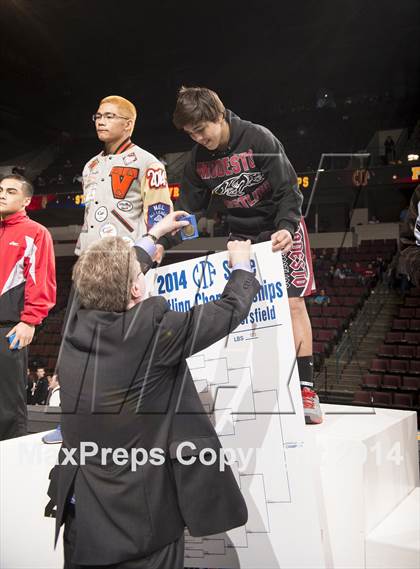 Thumbnail 1 in CIF State Wrestling Championships (Awards) photogallery.