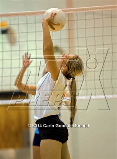 null - Photo 11