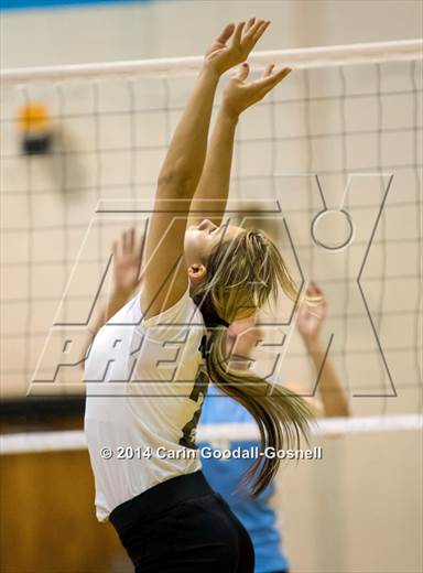 null - Photo 01