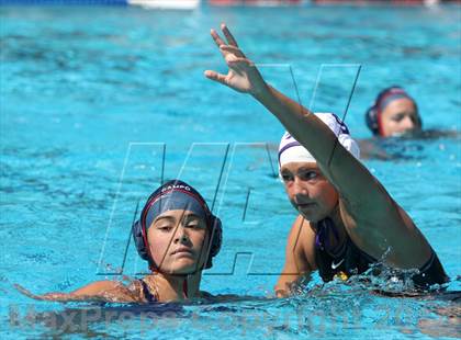 Thumbnail 1 in Campolindo vs Amador Valley (Acalanes Invitational) photogallery.