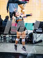 Photo from the gallery "Timpview vs. Park City (UHSAA 5A Second Round)"