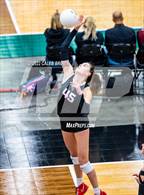 Photo from the gallery "Timpview vs. Park City (UHSAA 5A Second Round)"