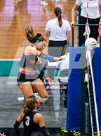 Photo from the gallery "Timpview vs. Park City (UHSAA 5A Second Round)"