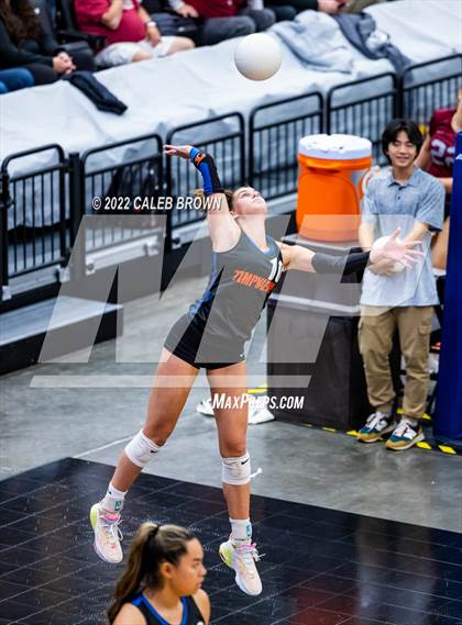 Thumbnail 1 in Timpview vs. Park City (UHSAA 5A Second Round) photogallery.