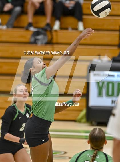 Thumbnail 1 in Carroll @ Yorktown  photogallery.