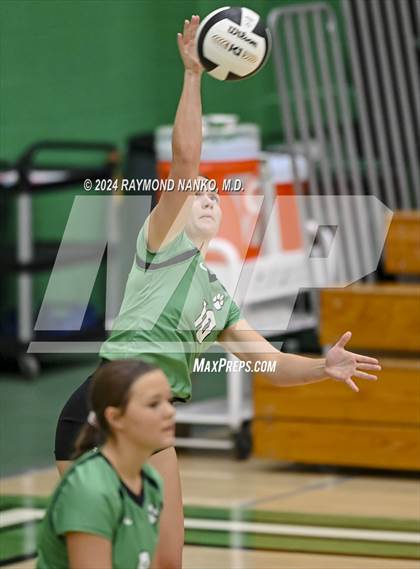 Thumbnail 3 in Carroll @ Yorktown  photogallery.