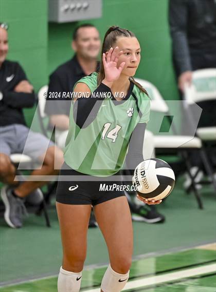 Thumbnail 3 in Carroll @ Yorktown  photogallery.