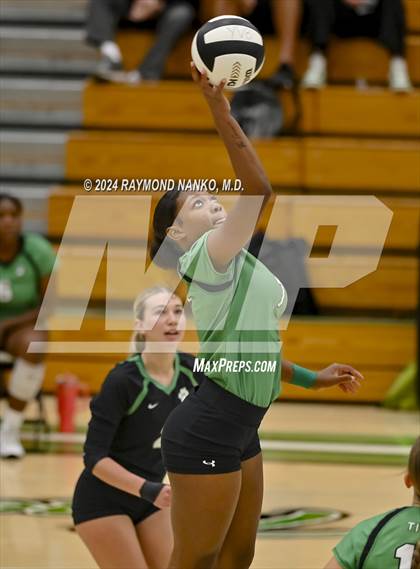 Thumbnail 3 in Carroll @ Yorktown  photogallery.