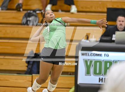 Thumbnail 2 in Carroll @ Yorktown  photogallery.