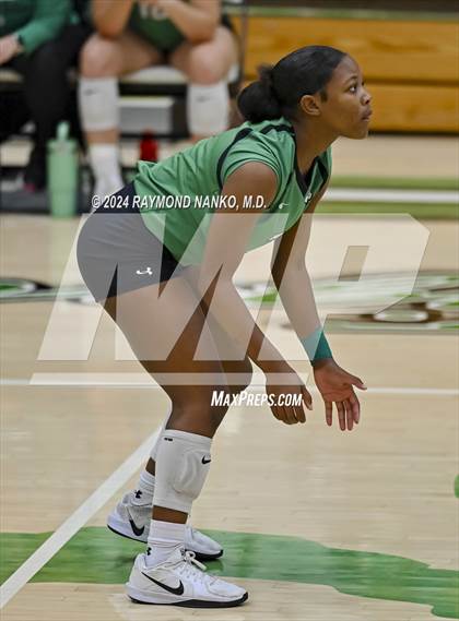 Thumbnail 3 in Carroll @ Yorktown  photogallery.