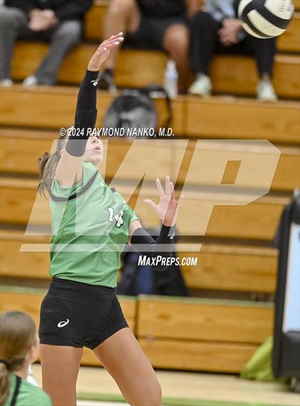 Thumbnail 2 in Carroll @ Yorktown  photogallery.