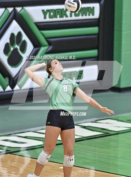 Thumbnail 1 in Carroll @ Yorktown  photogallery.