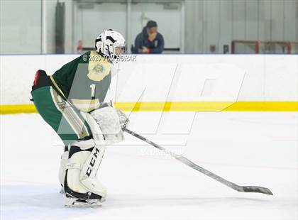 Thumbnail 3 in St. Joseph Regional vs Bergen Catholic (Bergen County Tournament) photogallery.
