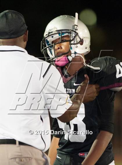 Thumbnail 2 in Basha @ Hamilton photogallery.