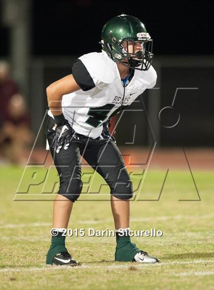 Thumbnail 2 in Basha @ Hamilton photogallery.