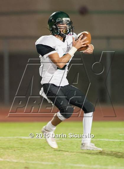 Thumbnail 1 in Basha @ Hamilton photogallery.
