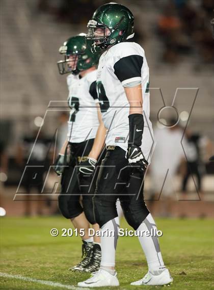 Thumbnail 3 in Basha @ Hamilton photogallery.