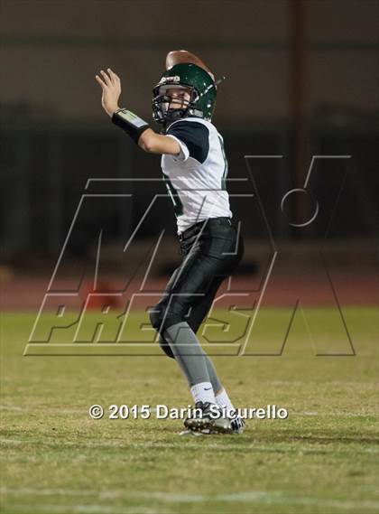 Thumbnail 3 in Basha @ Hamilton photogallery.
