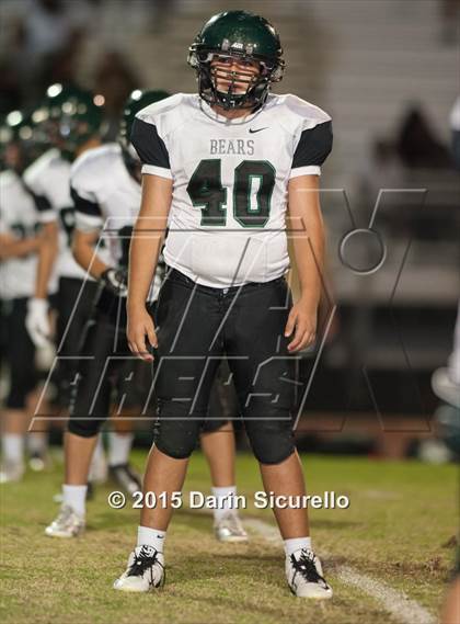 Thumbnail 3 in Basha @ Hamilton photogallery.